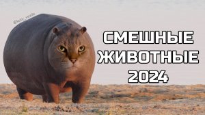 Смешные животные 2024 - попробуй не засмеяться! (№80) котики, котята