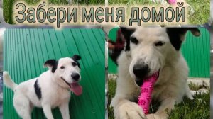 Граф ищет дом