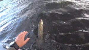 Рыбалка в Мурманской области | Щука 8 кг | 3 серия