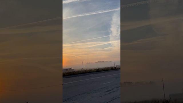 15 сентября 2024 г.