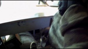 Кто съел мою какашку