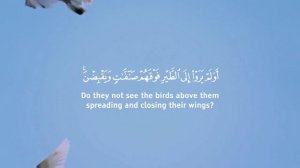 Surah Al-Mulk - Blessing for the Friday - Ayah [67:19] - Omar Hisham Al Arabi