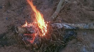 "Мы делтмся своим теплом" сл. муз. исп. Е. Лобастовой Авторское видео Клип