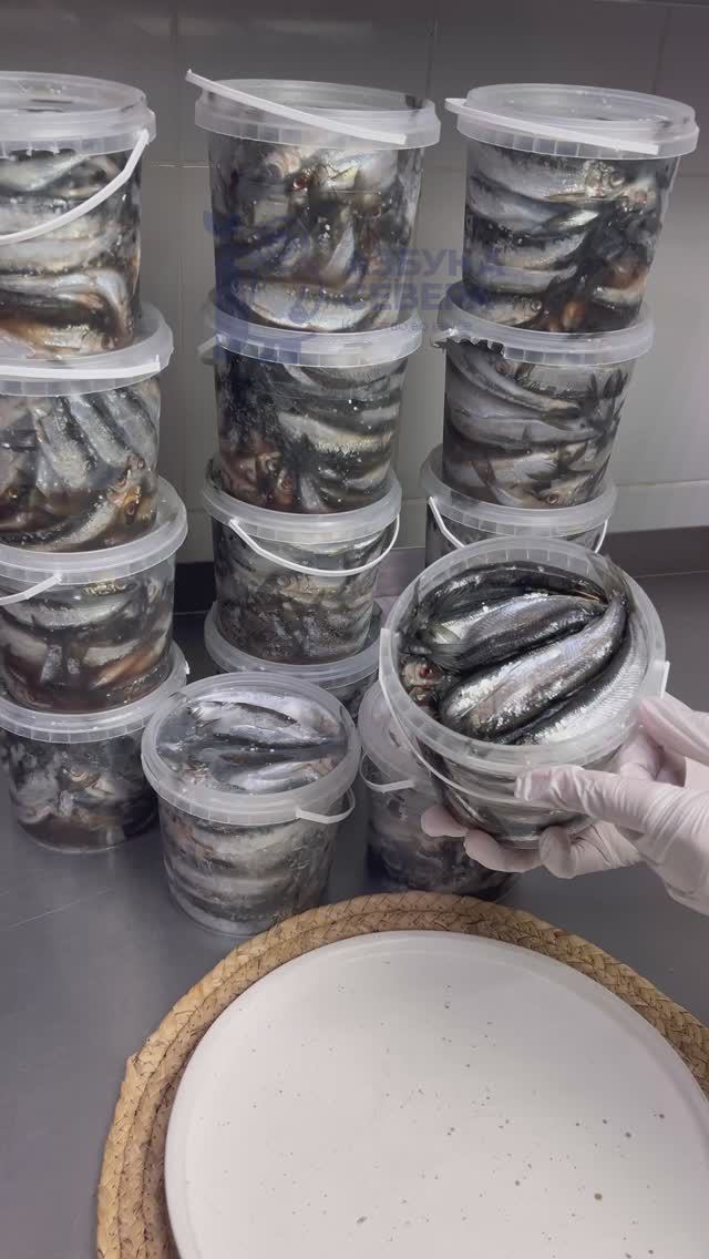 Тугунок😍 вся информация в описании