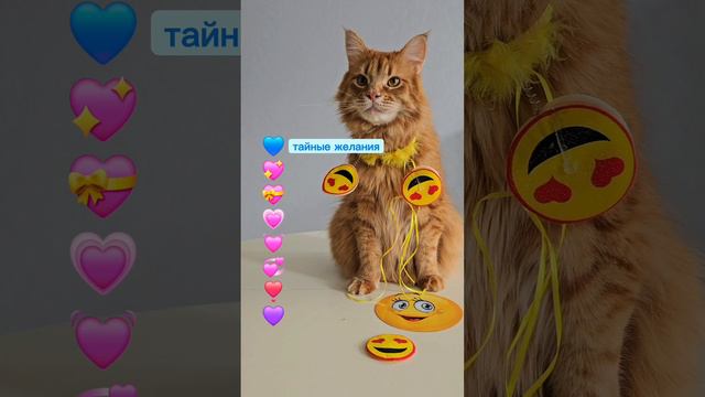 День Рождения Смайликов #животные #котики #смайлики