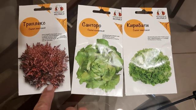 Что буду сеять в теплице в марте. Какой грунт покупаю для рассады. Рассада цветов для дачи