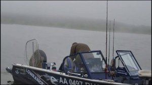 Встреча старых друзей-рыбаков 3, ТРОЛЛИНГ в Молчаново на Оби (7-11.09.2023)