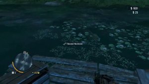Crocodile attack - Far Cry 3 Classic Edition