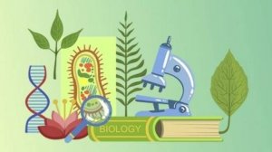 Биология 7 класс. Класс Брюхоногие моллюски.--