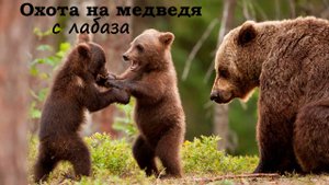 Охота на медведя с лабаза
