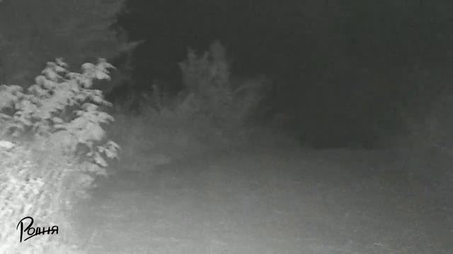 Тест ПНВ 230 м день ночь смотреть онлайн