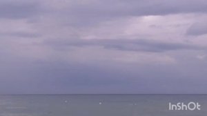 дельфины передают привет