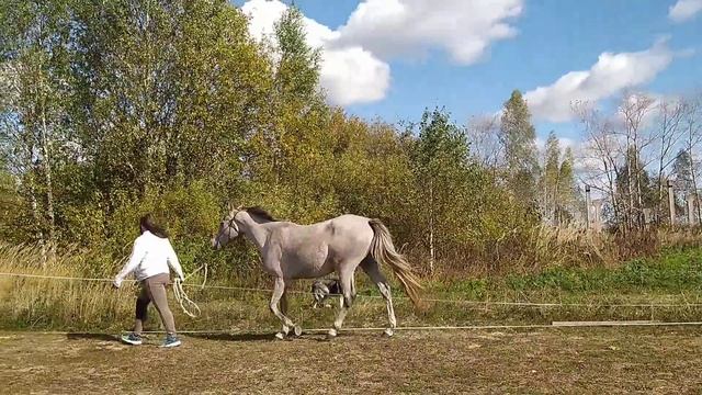 Озорница, 2021 г.р.