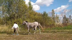 Озорница, 2021 г.р.