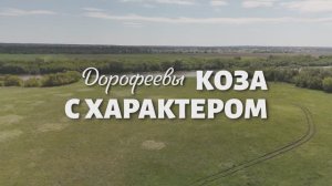 Серия 2 - Коза с характером