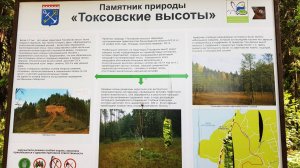 Экотропа «Еловые Холмы».