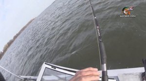 Рыбалка ТРОЛЛИНГОМ в Молчаново и всё о ТРОЛЛИНГЕ на Оби (08-09.10.2023)