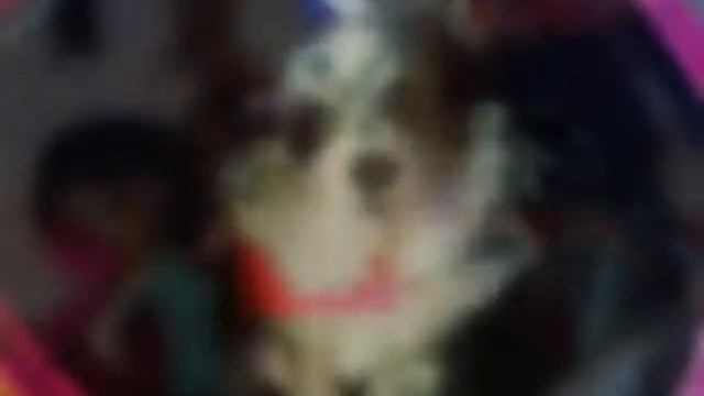 Эни Меджик смотреть онлайн