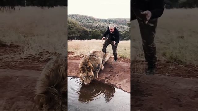 Оцените взгляд в конце