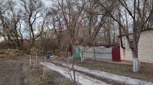 Наконец порядок в саду. Интересное путешествие. Новый жилец.