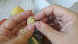 Посылка из прошлого. Выпуск 37