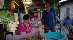 Съездили на самосбор яблок. Высушили виноград в самодельной сушилке. Очищаем орех.
