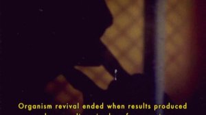 Metallica  -   All Nightmare Long