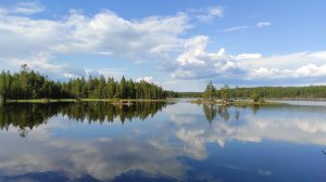 Княжегубское водохранилище. Август 2023г.