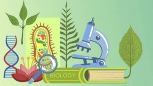 Биология 7 класс. Промысловая рыба.--