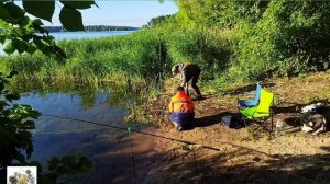 Второе лучшее место на Истринском водохранилище. Или рыбалка в троëм с ночëвкой.