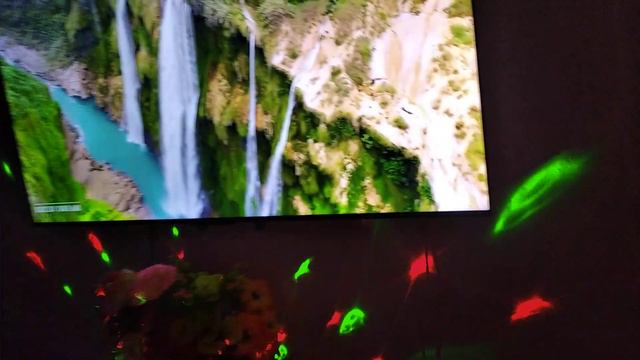 Библиосумерки 2024 смотреть онлайн