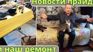 Новости прайда и наш ремонт.