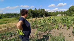 Решили занятся распилом огромной кучи хлама.У нас очень неудачный день, обидные потери.