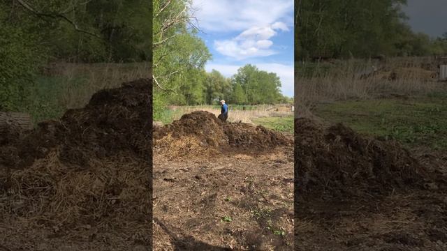 Деревенская жизнь #огородныедела