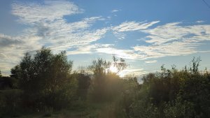 прогулка по парку Текстильщиков. Тверь. осень 2023