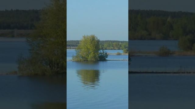 Город, который затопило