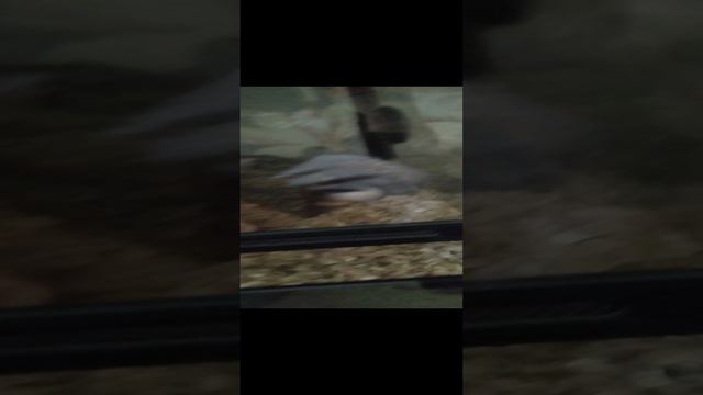 урааа!!!