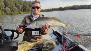 Чарыш, резина Bait Breath Bugsy и большие щуки с судаками