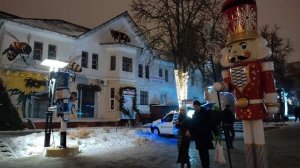 Ёлка в Белгороде. Прогулка.