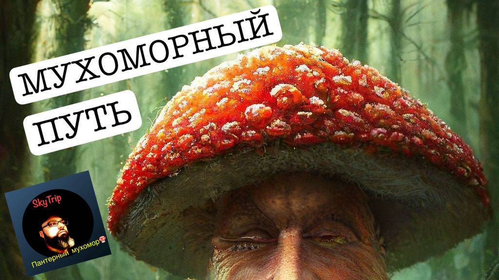 МУХОМОРНЫЙ ПУТЬ I SkyTrip