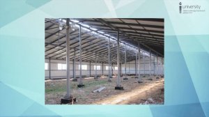 2.2.2. Предварительное (визуальное) обследование