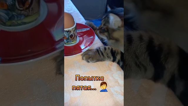 Утренний каприз