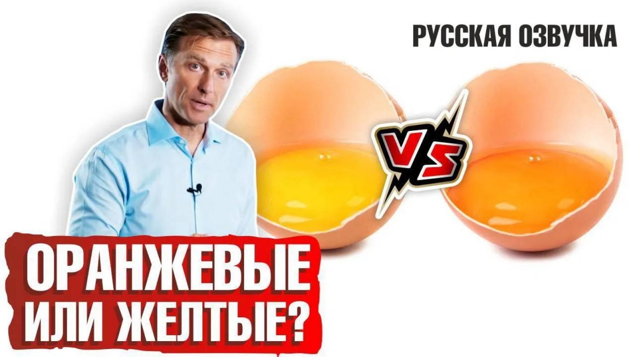 Почему яйца оранжевые или желтые? Кето продукты (русская озвучка)