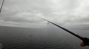 Ловля окуня на джиг с лодки. Мордатые окуни отрывают приманки. Рыбалка на Ладоге в Креницах.