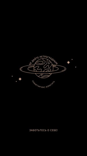 эфир с котом