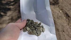 Новый проект! Завершили ремонт загона. Занимались посадками.