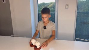 Обзор на японских кошек