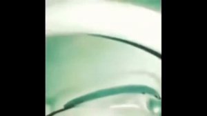 Кс кс чк чк мцу аа