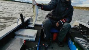 Рыбалка на Оке в дали от дома.