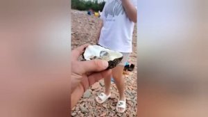 Продолжаем наш отдых и варим варенье. Видео от брата и невестки. Родители варят варенье.